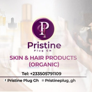 Pristine Plug Gh Logo