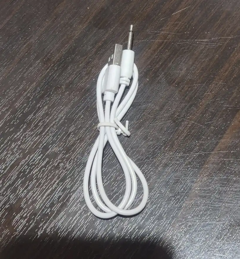 Wand vibrator charger image by DBS MALL