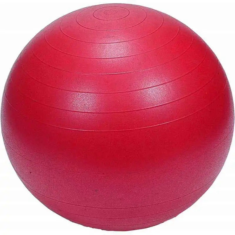 85cm Gym Ball image by Muscly Fitness Shop