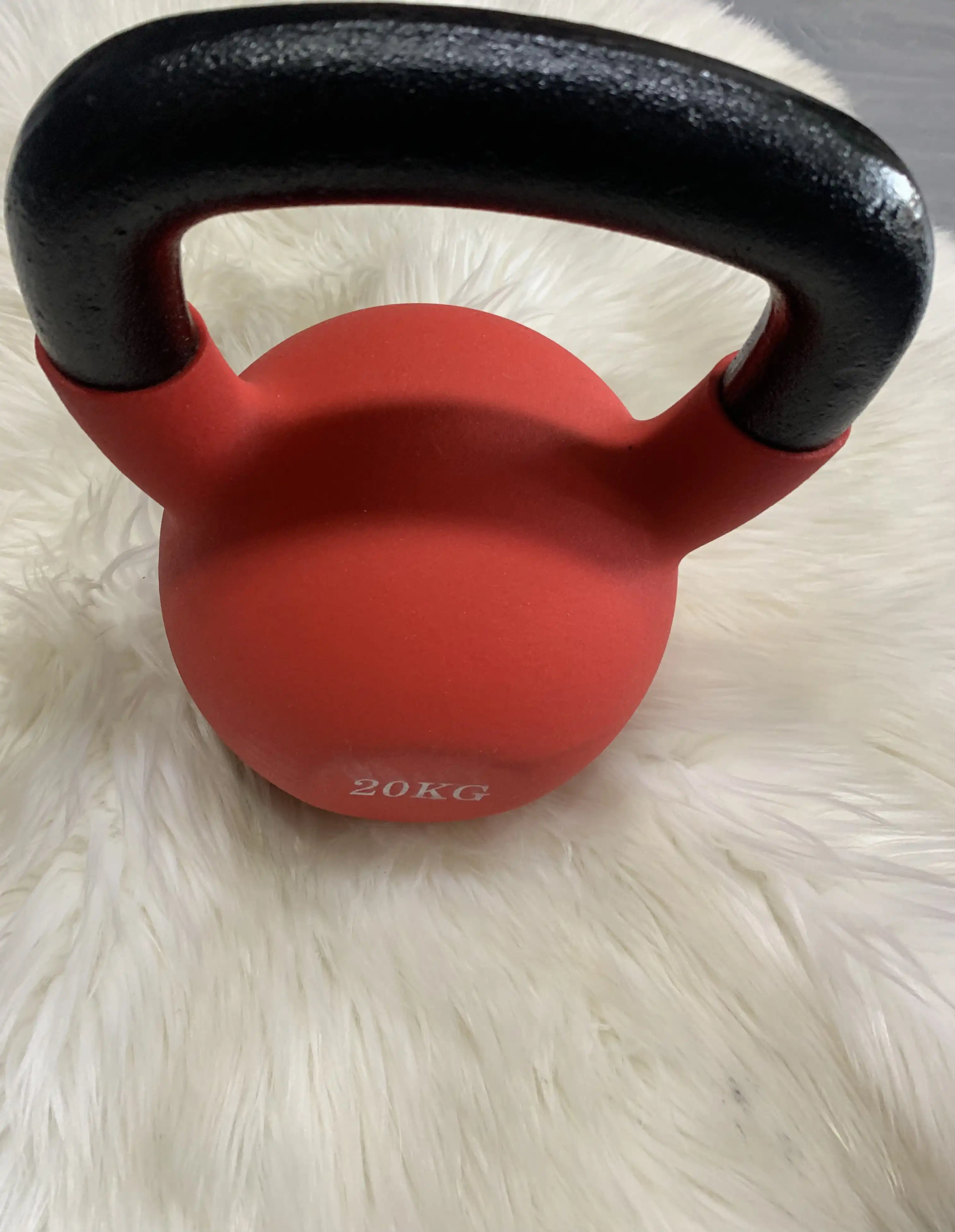 20kg Iron Kettlebell image by Muscly Fitness Shop