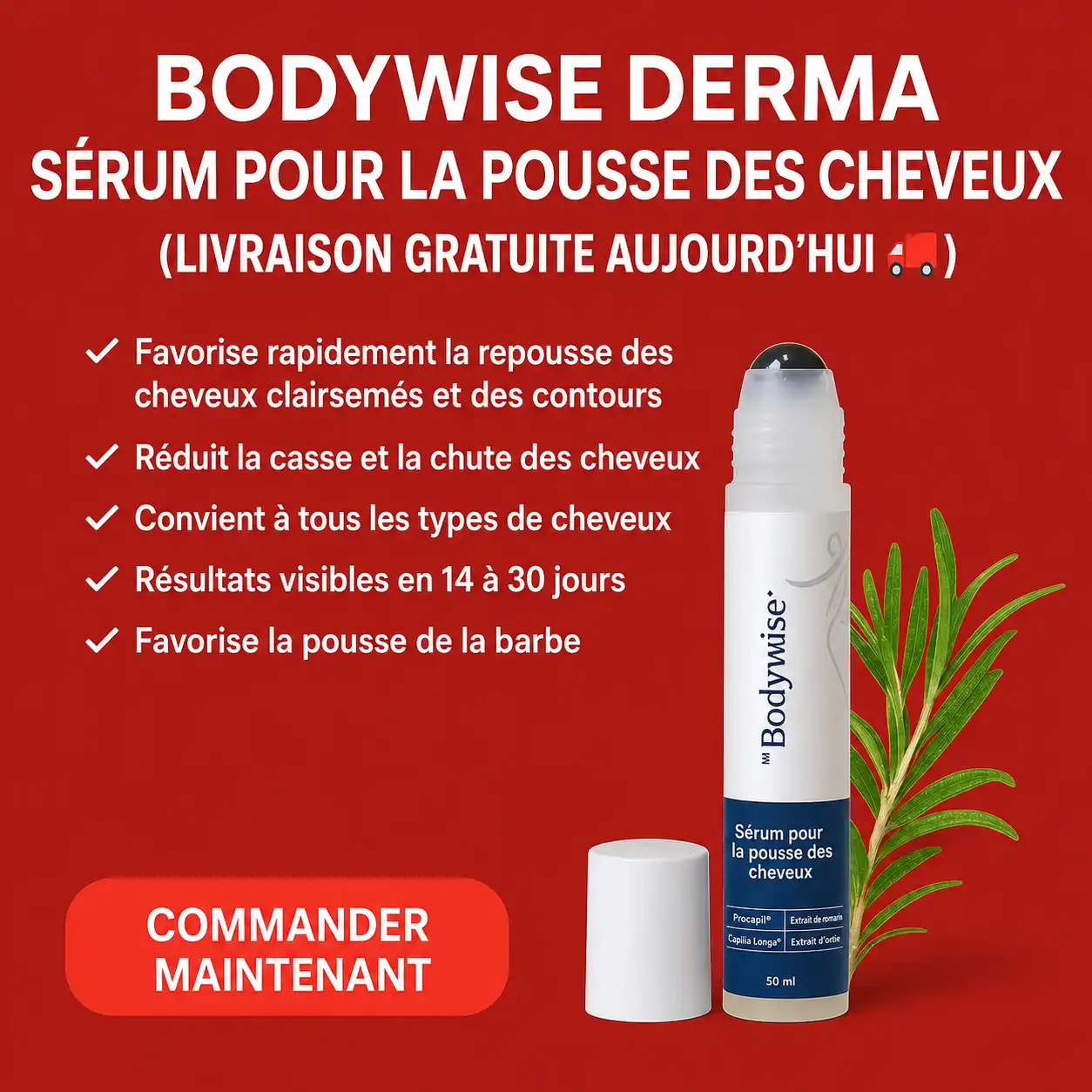 BODYWISE SÉRUM DERMA POUR LA POUSSE DES CHEVEUX [PLUS QUE 4 DISPONIBLES] (LIVRAISON GRATUITE) (FR) image by Jays Bodywise Hair Growth Serum