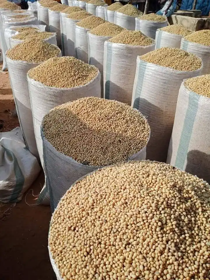 Soya Beans image by Mark K. Shea Butter And Herbs Hub Ghana